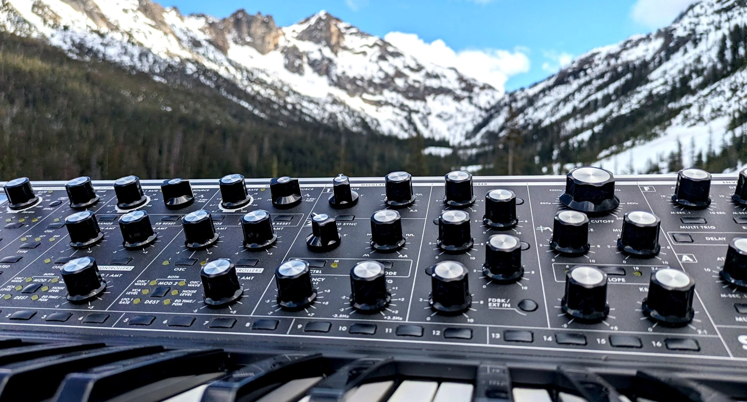 Moog Sub37 Review 2025 — Kulshan Studios
